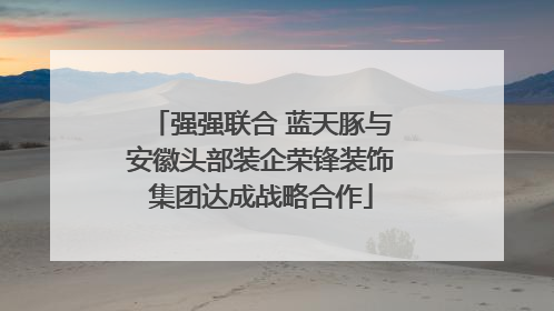 强强联合 蓝天豚与安徽头部装企荣锋装饰集团达成战略合作