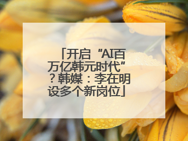 开启“AI百万亿韩元时代”？韩媒：李在明设多个新岗位