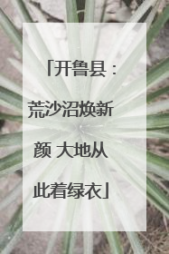 开鲁县：荒沙沼焕新颜 大地从此着绿衣