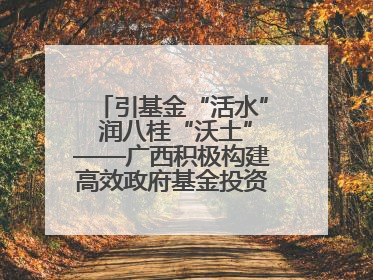 引基金“活水” 润八桂“沃土”——广西积极构建高效政府基金投资运作机制