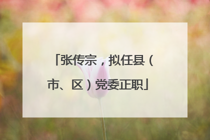 张传宗，拟任县（市、区）党委正职