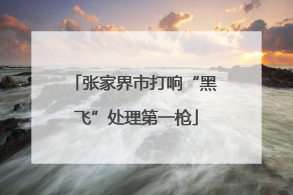 张家界市打响“黑飞”处理第一枪