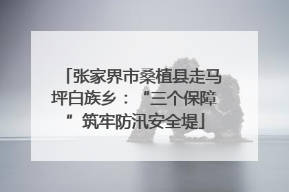 张家界市桑植县走马坪白族乡：“三个保障”筑牢防汛安全堤