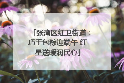 张湾区红卫街道：巧手包粽迎端午 红星送暖润民心