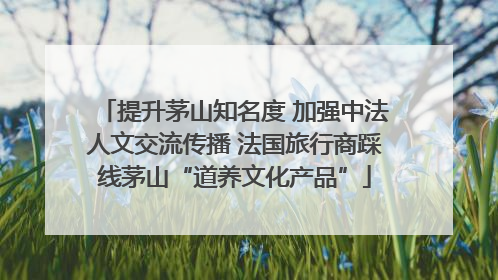 提升茅山知名度 加强中法人文交流传播 法国旅行商踩线茅山“道养文化产品”