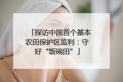 探访中国首个基本农田保护区监利：守好“饭碗田”