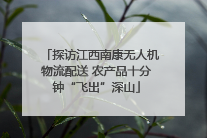 探访江西南康无人机物流配送 农产品十分钟“飞出”深山