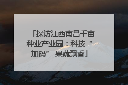 探访江西南昌千亩种业产业园：科技“加码” 果蔬飘香
