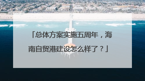 总体方案实施五周年，海南自贸港建设怎么样了？