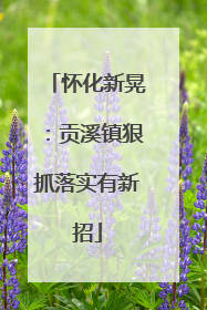 怀化新晃：贡溪镇狠抓落实有新招