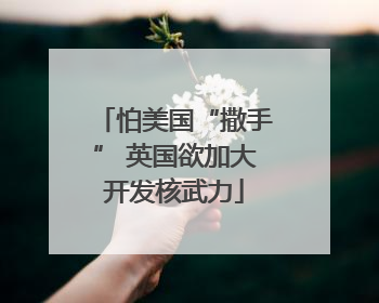 怕美国“撒手” 英国欲加大开发核武力