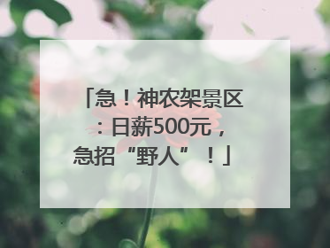 急！神农架景区：日薪500元，急招“野人”！