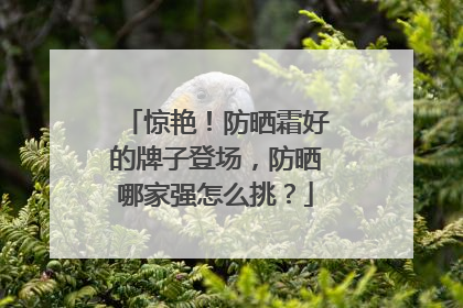 惊艳！防晒霜好的牌子登场，防晒哪家强怎么挑？