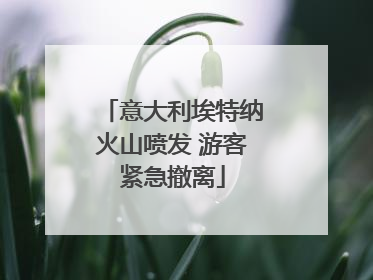 意大利埃特纳火山喷发 游客紧急撤离