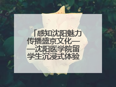 感知沈阳魅力传播盛京文化——沈阳医学院留学生沉浸式体验沈阳文旅特色