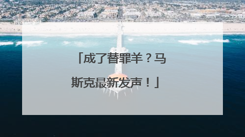 成了替罪羊？马斯克最新发声！