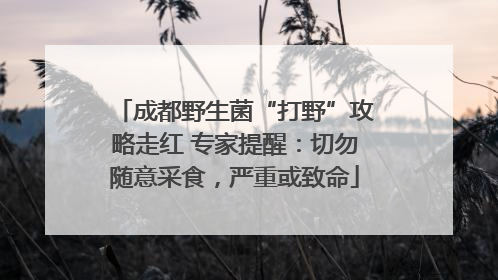 成都野生菌“打野”攻略走红 专家提醒：切勿随意采食，严重或致命