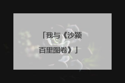 我与《沙颍百里图卷》
