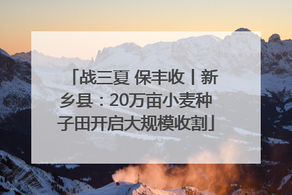 战三夏 保丰收丨新乡县：20万亩小麦种子田开启大规模收割