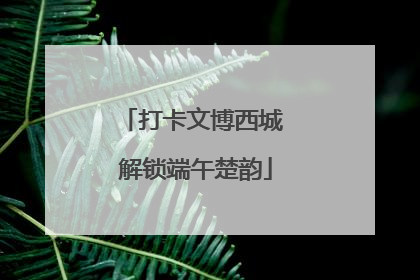 打卡文博西城 解锁端午楚韵