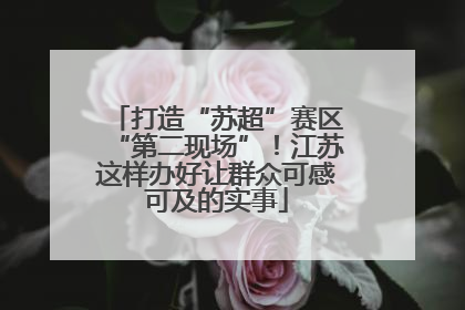打造“苏超”赛区“第二现场”！江苏这样办好让群众可感可及的实事