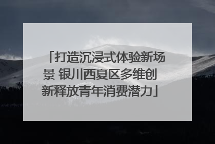 打造沉浸式体验新场景 银川西夏区多维创新释放青年消费潜力