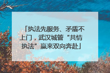 执法先服务、矛盾不上门，武汉城管“共情执法”赢来双向奔赴