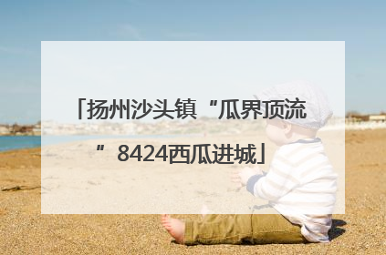 扬州沙头镇“瓜界顶流”8424西瓜进城