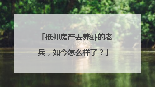 抵押房产去养虾的老兵，如今怎么样了？