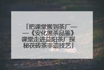 把课堂搬到茶厂——《安化黑茶品鉴》课堂走进益阳茶厂探秘茯砖茶非遗技艺