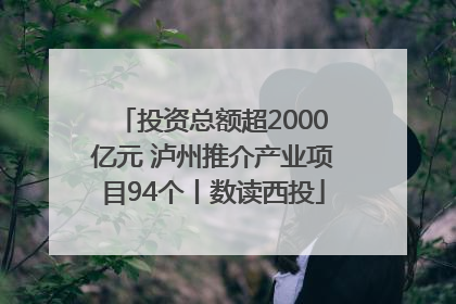 投资总额超2000亿元 泸州推介产业项目94个丨数读西投