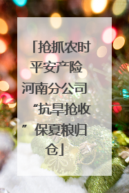 抢抓农时 平安产险河南分公司“抗旱抢收”保夏粮归仓