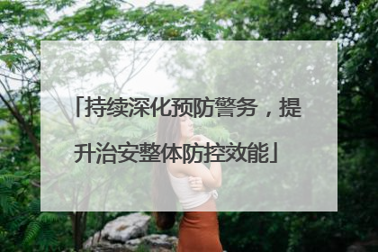 持续深化预防警务，提升治安整体防控效能