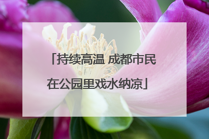 持续高温 成都市民在公园里戏水纳凉
