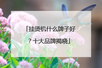 挂烫机什么牌子好？十大品牌揭晓