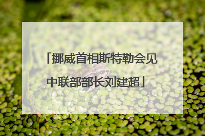挪威首相斯特勒会见中联部部长刘建超
