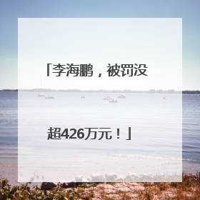 李海鹏，被罚没超426万元！