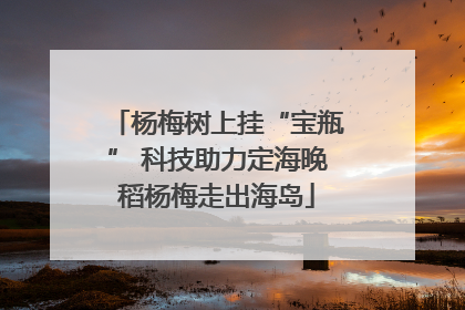 杨梅树上挂“宝瓶” 科技助力定海晚稻杨梅走出海岛