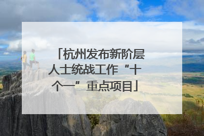 杭州发布新阶层人士统战工作“十个一”重点项目