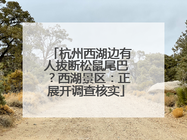 杭州西湖边有人拔断松鼠尾巴？西湖景区：正展开调查核实