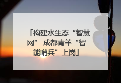 构建水生态“智慧网” 成都青羊“智能哨兵”上岗