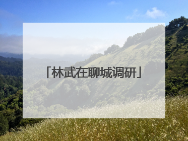 林武在聊城调研