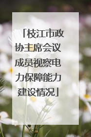 枝江市政协主席会议成员视察电力保障能力建设情况