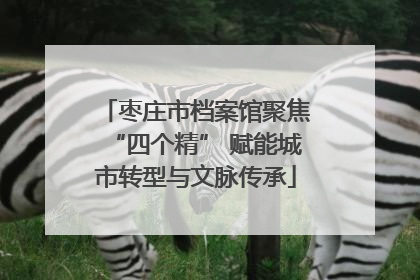 枣庄市档案馆聚焦“四个精” 赋能城市转型与文脉传承