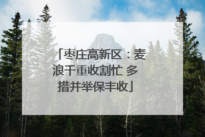 枣庄高新区：麦浪千重收割忙 多措并举保丰收