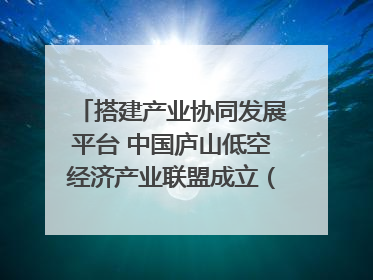 搭建产业协同发展平台 中国庐山低空经济产业联盟成立（组图｜视频）
