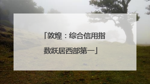 敦煌：综合信用指数跃居西部第一