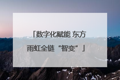数字化赋能 东方雨虹全链“智变”