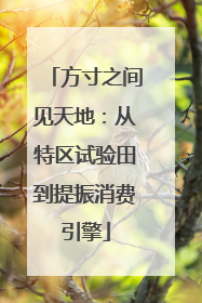方寸之间见天地：从特区试验田到提振消费引擎