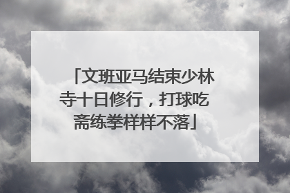 文班亚马结束少林寺十日修行，打球吃斋练拳样样不落